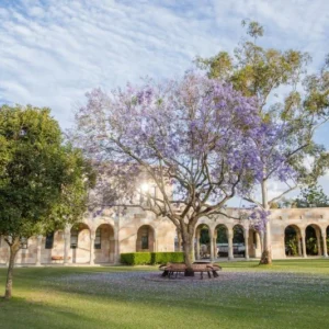 The University of Queensland 1