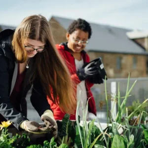 University of Tasmania 3