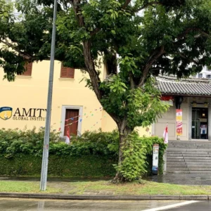 Amity Global Institute 2