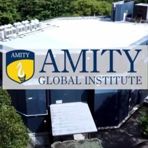 Amity Global Institute 3