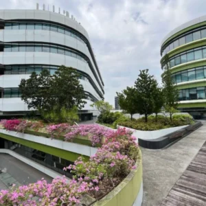 Singapore University of Technology and Design 2