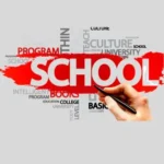 Top Business Schools in France-Mobile