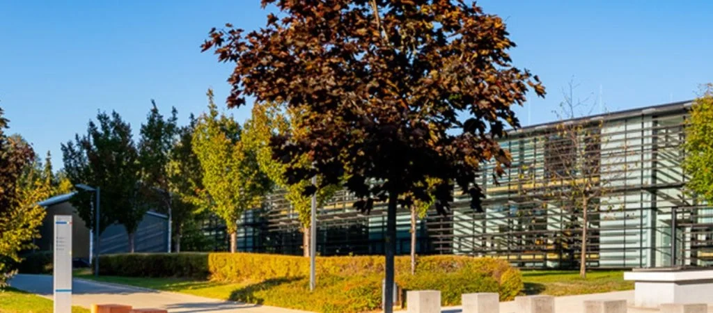 West Saxon University of Applied Sciences of Zwickau landing