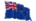 Study in New Zealand Flag
