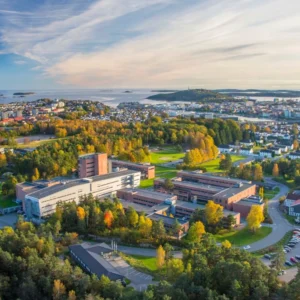 The University of Agder 1