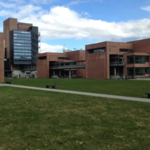 The University of Agder 3