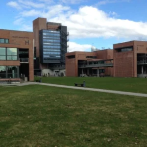 The University of Agder 4