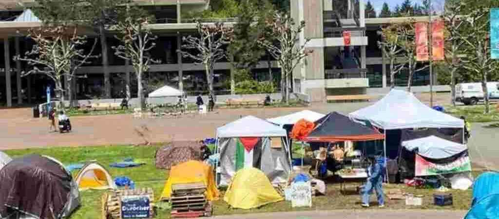 evergreen college landing