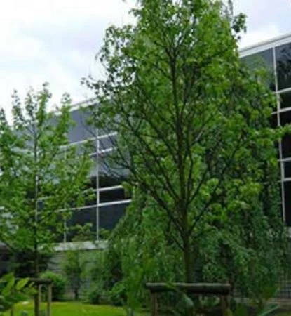 Niederrhein University mobile