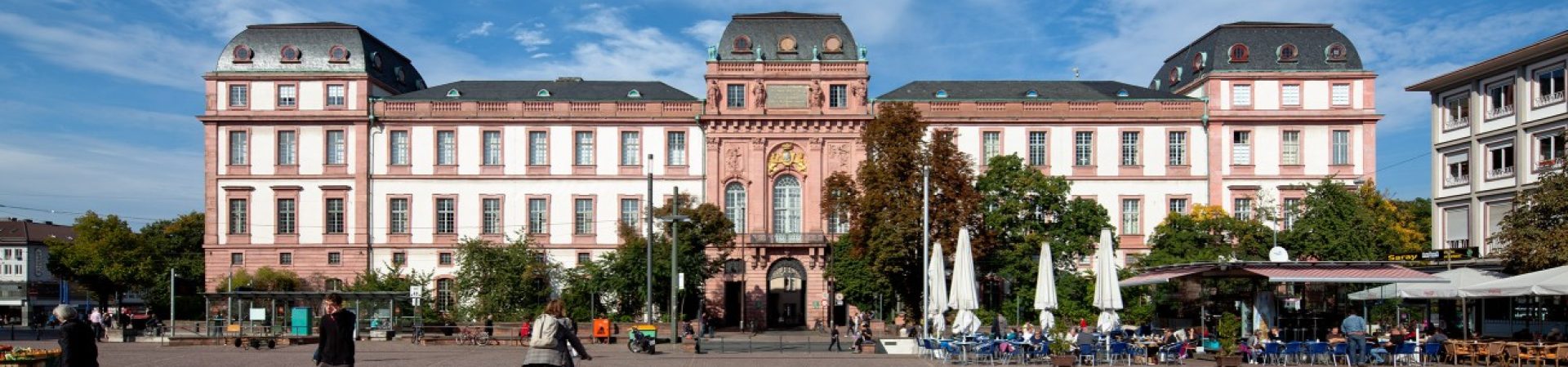 Technical University of Darmstadt Landing